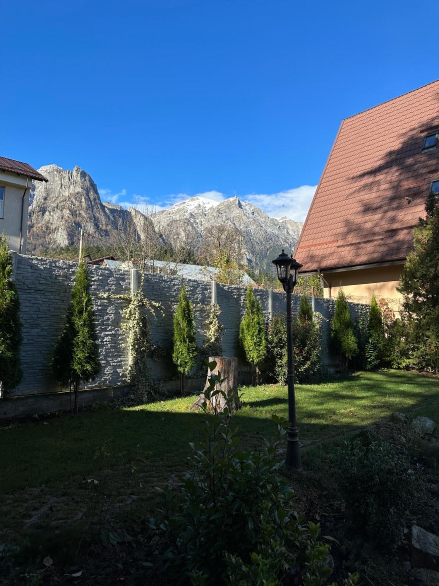 Royal Inn Busteni-Adults Only Exterior photo